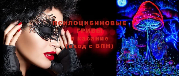 соль ск Чекалин