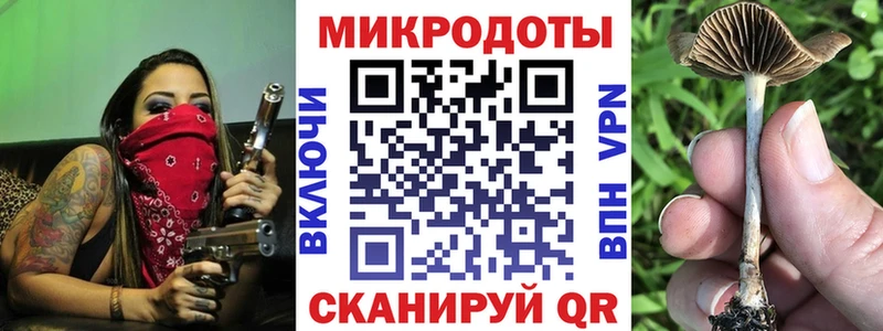 Купить где  Нахабино  Галлюциногенные грибы Cubensis 